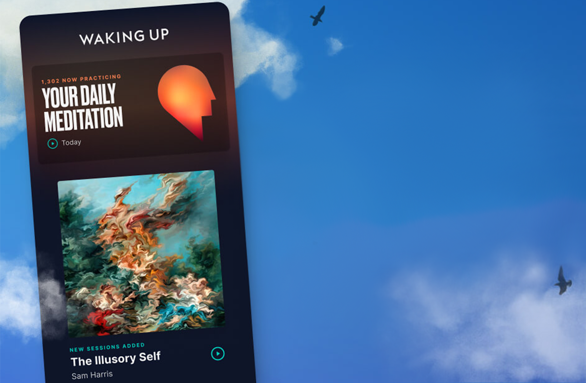A smartphone screen displays the Waking Up app with Your Daily Meditation and The Illusory Self session. The background is a blue sky with clouds and two birds flying.