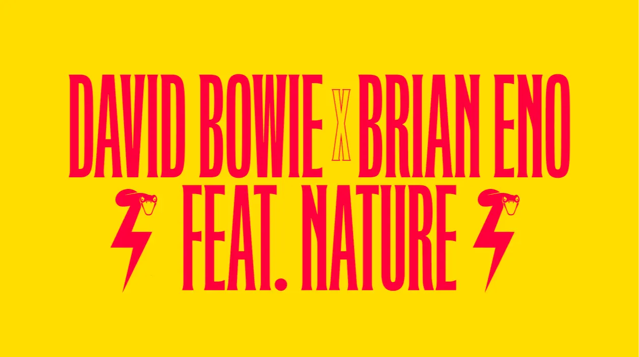Red text on a yellow background reads DAVID BOWIE X BRIAN ENO FEAT. NATURE, with red lightning bolts and small silhouettes of a bird on each bolt.