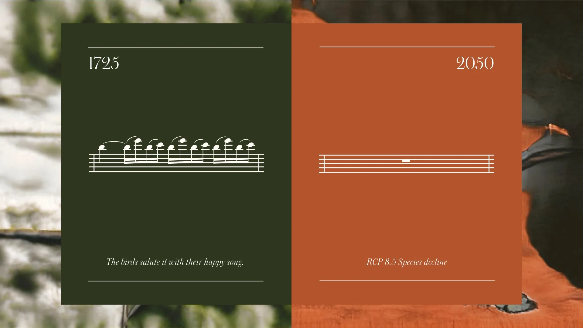 A split image: left shows 1725 with vibrant musical notes on a dark green background, symbolizing birds singing; right shows 2050 with a single note on an orange background, representing species decline.