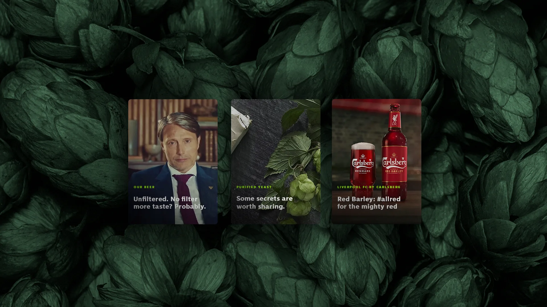 Three cards over a background of green hops. The first card shows a man in a suit with text about unfiltered beer. The second shows limes and leaves. The third shows red Carlsberg beer bottles and cans with related text.