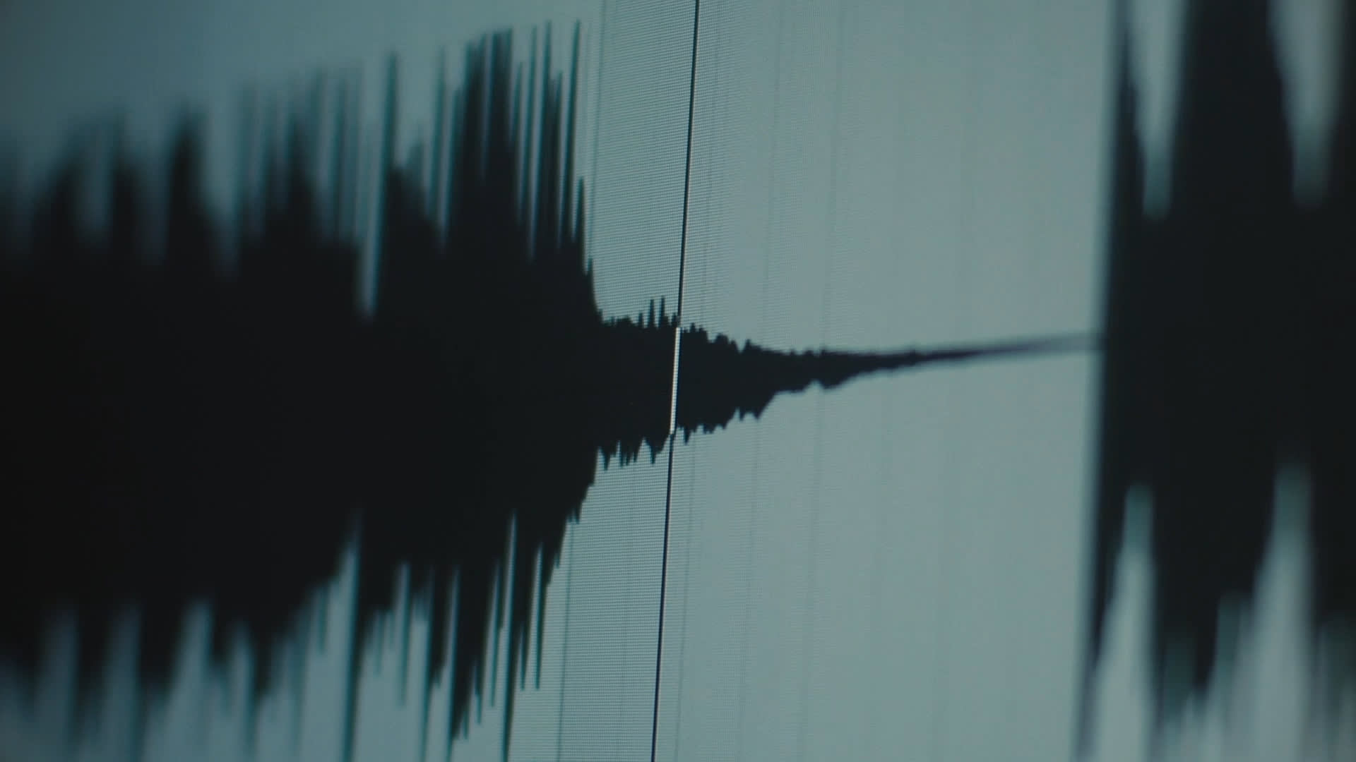 A close-up view of an audio waveform displayed on a digital screen, showing peaks and valleys representing sound amplitude over time. The image features a dark waveform on a light background with grid lines.