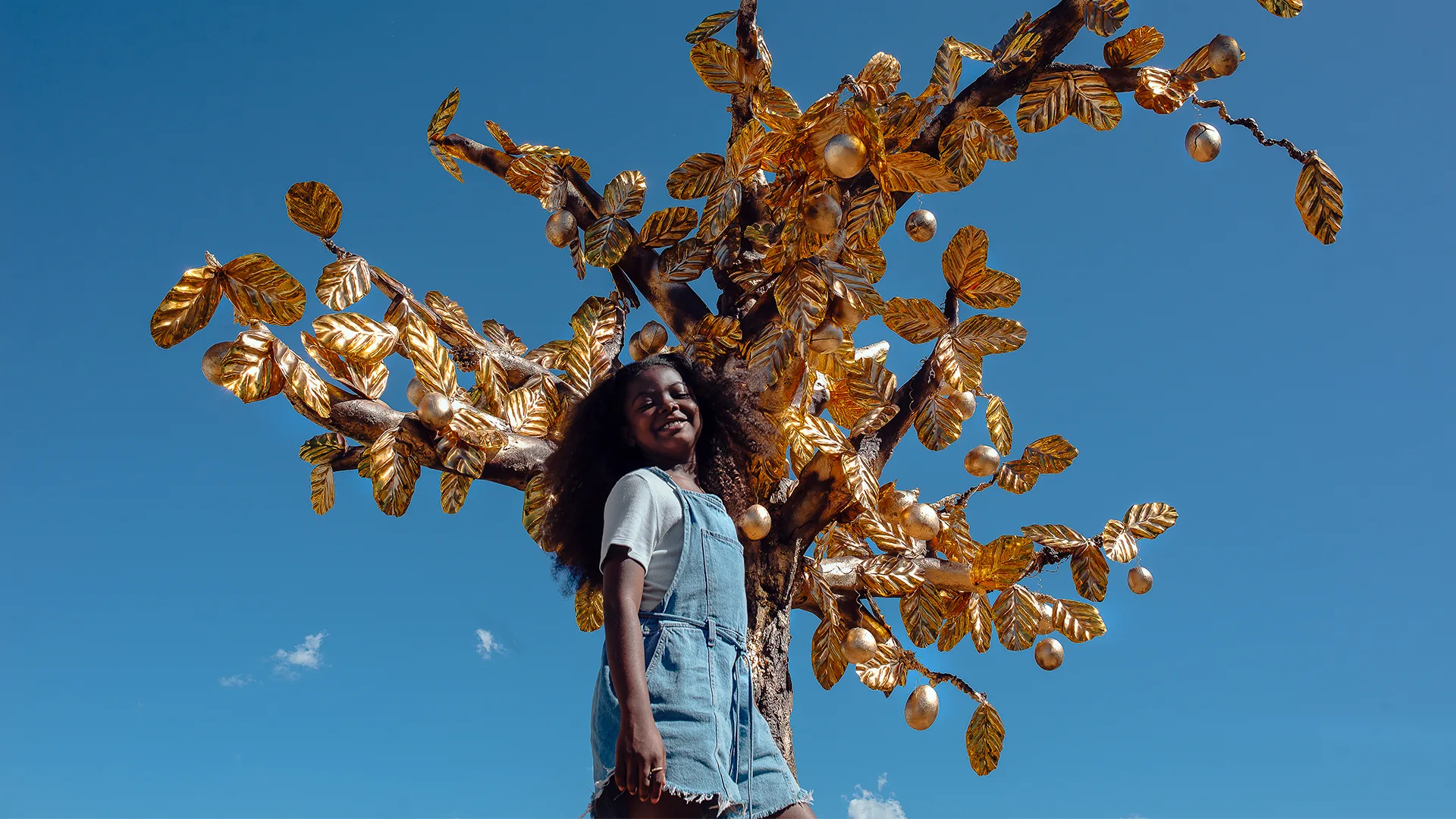 The Tree of Wealth -HEADER