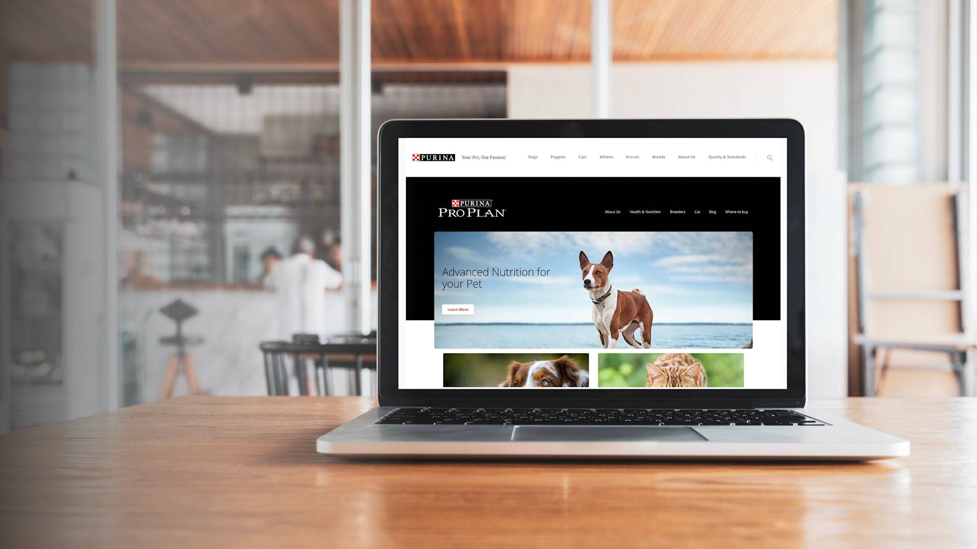 A laptop on a wooden table displays the Purina Pro Plan website, showing a dog outdoors under the headline Advanced Nutrition for your Pet. A modern office space with people is visible in the blurred background.