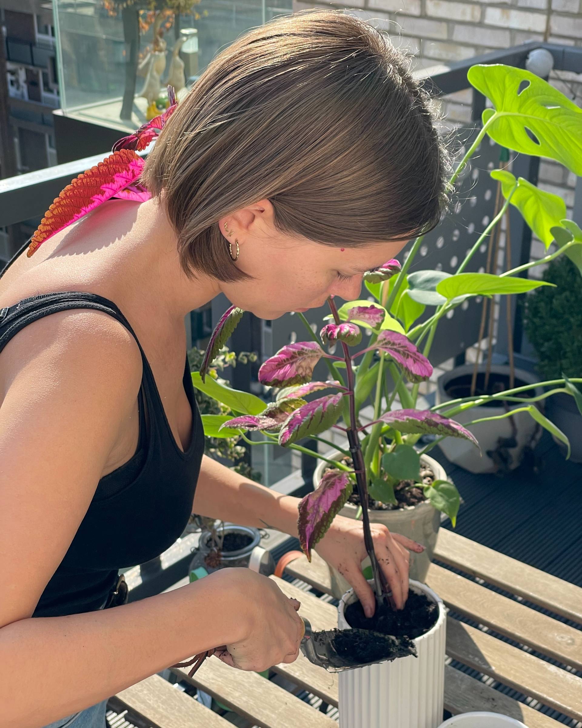 A woman with short brown hair is potting a plant with bright green and purple leaves on a sunny balcony, using a small gardening tool. Other potted plants and garden supplies are visible around her.