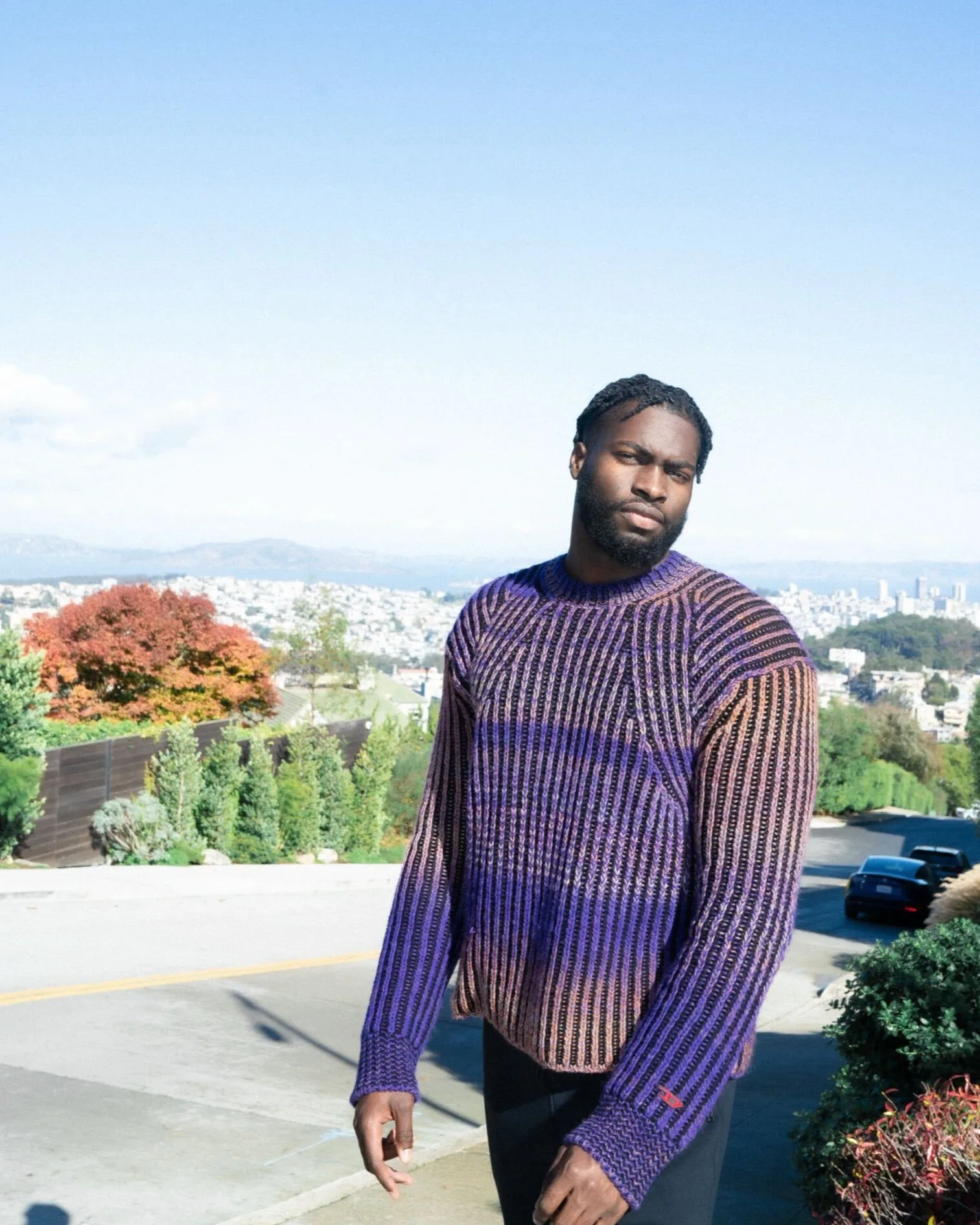 A man wearing a purple and blue knit sweater stands on a sunny street with trees and a distant city skyline in the background. The scene is bright and clear, with autumn colors in some of the trees.