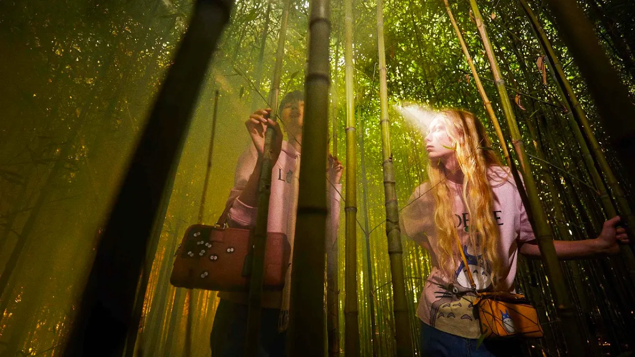 Two people stand among tall bamboo stalks, dappled with sunlight. Both wear pastel pink shirts and carry whimsical bags; one person’s face is brightly illuminated by a shaft of sunlight cutting through the bamboo.