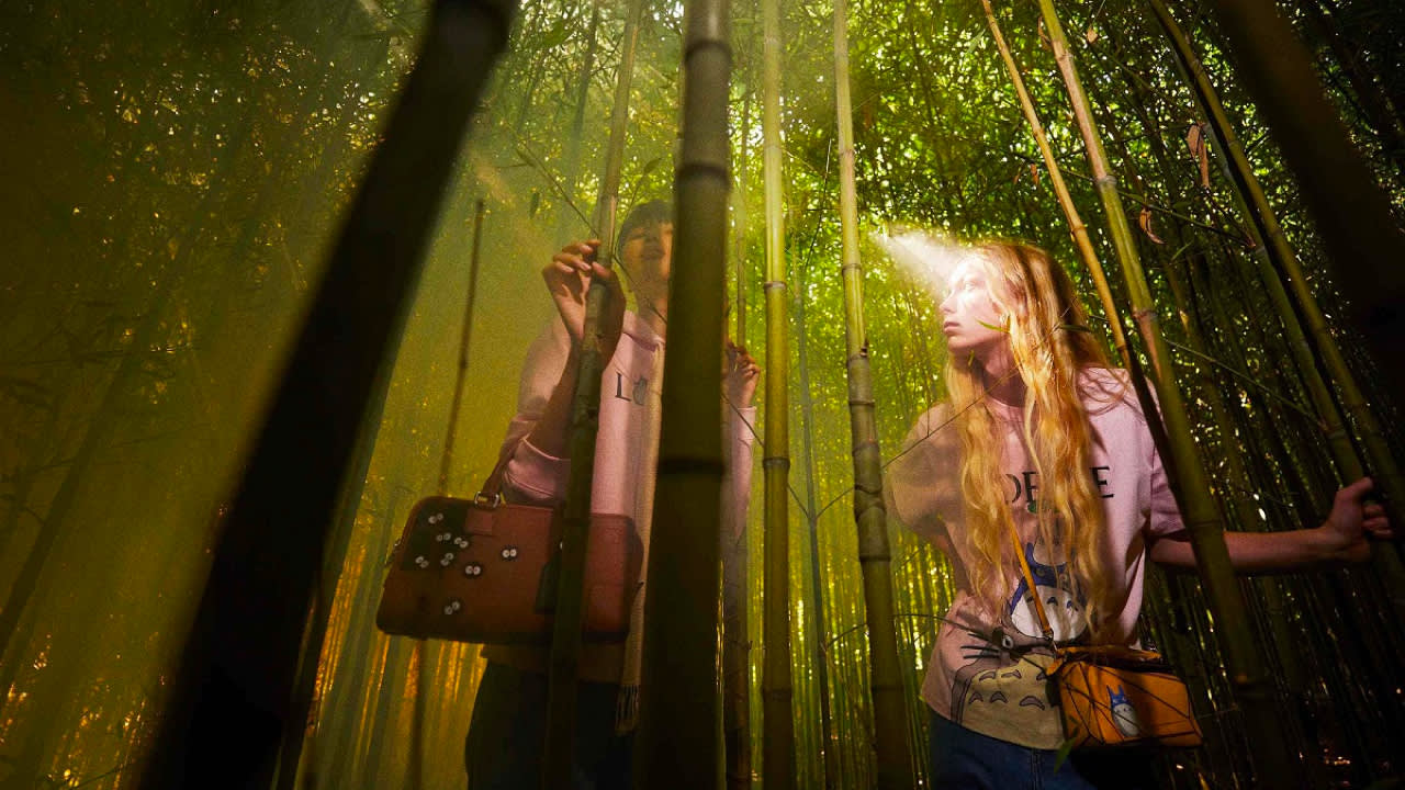 Loewe - Bamboo