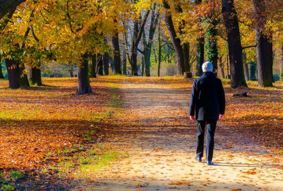 An older adult wearing a black coat walks alone down a tree-lined path in a park on a sunny autumn day, surrounded by golden and orange fallen leaves.