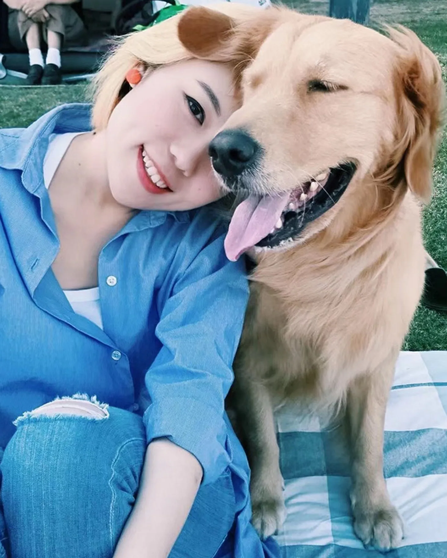 A woman in a blue shirt sits on a picnic blanket, smiling and leaning close to a happy golden retriever with its tongue out. They are outdoors on green grass.