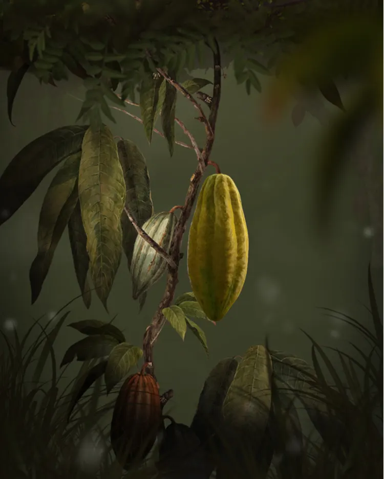 A cocoa pod, yellow-green in color, hangs from a thin branch amid large, elongated leaves. Another pod, brownish-red, grows lower on the branch; both are surrounded by shadowy foliage.