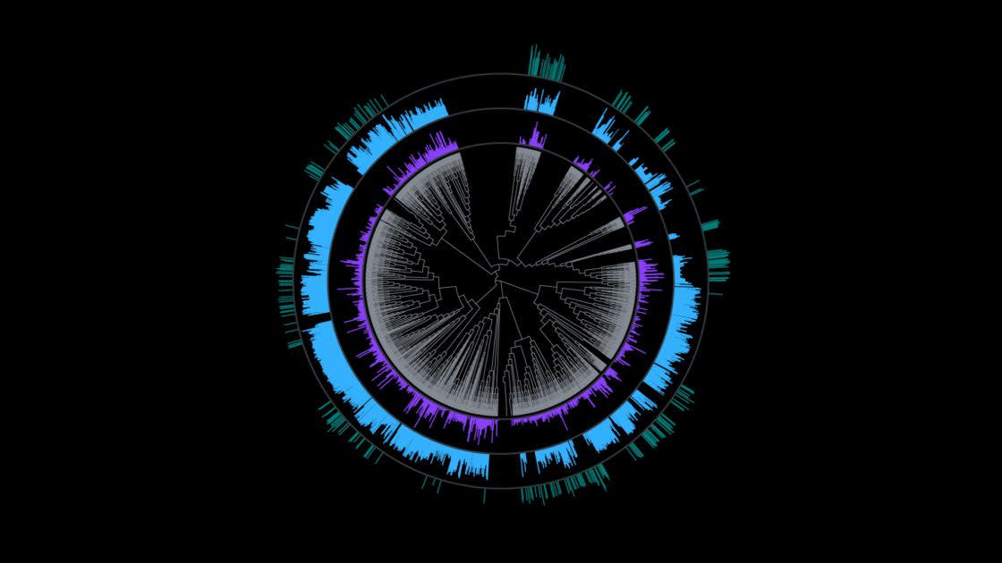 A circular data visualization on a black background features concentric rings with blue, purple, and teal bar graphs, surrounding a central radial pattern resembling a phylogenetic tree or network diagram.
