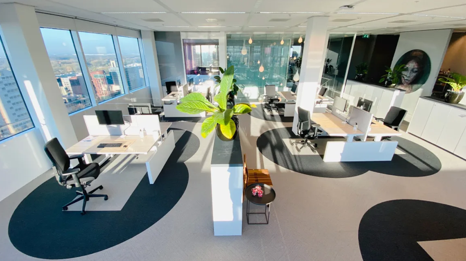 Modern open-plan office with large windows, white desks, black chairs, computer monitors, a central plant, and circular black carpet patterns on the floor. The office is bright with city views outside.