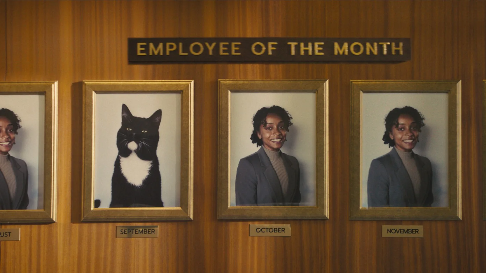 A wall display of framed Employee of the Month portraits shows a black and white cat for September, and the same smiling woman for October and November. The plaques are mounted on a wooden wall.