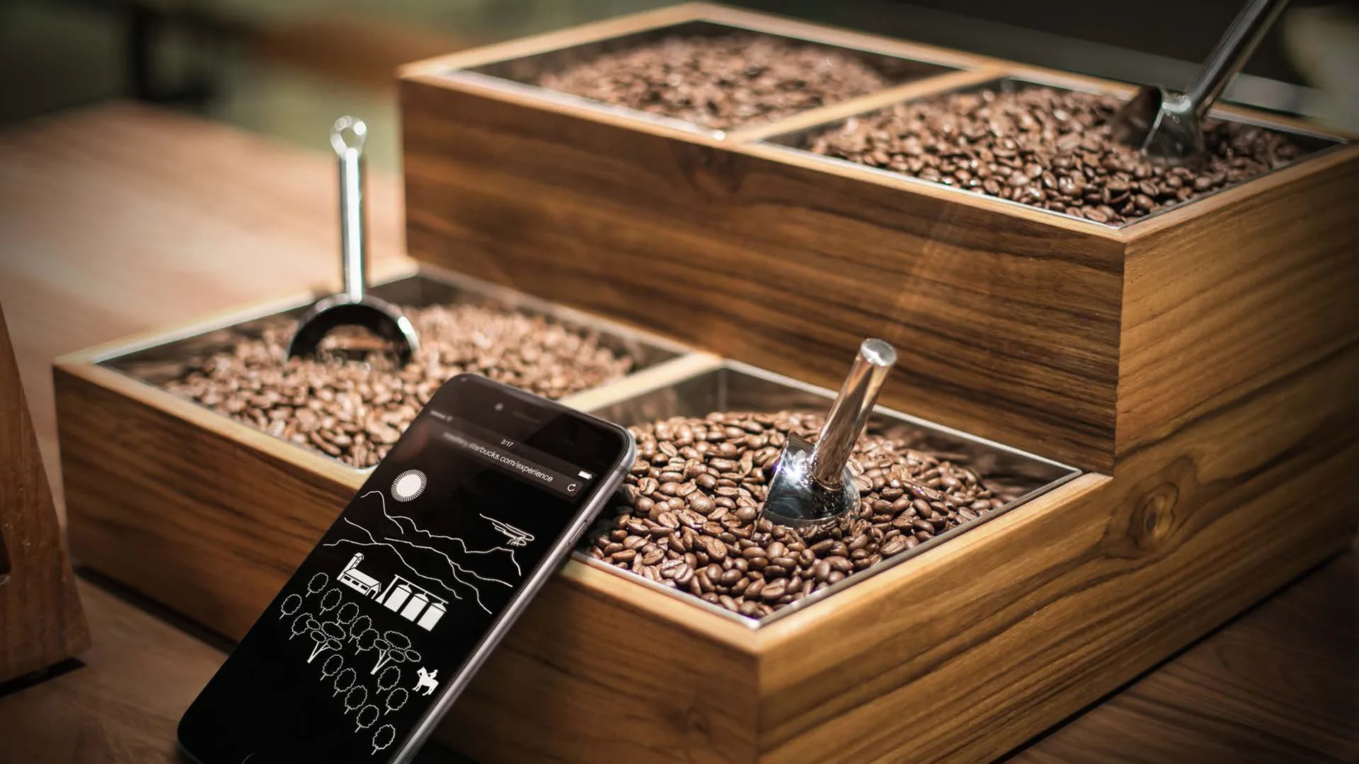 A wooden display box with four compartments filled with coffee beans, each holding a metal scoop. A smartphone with a black screen and white graphics rests against one compartment.