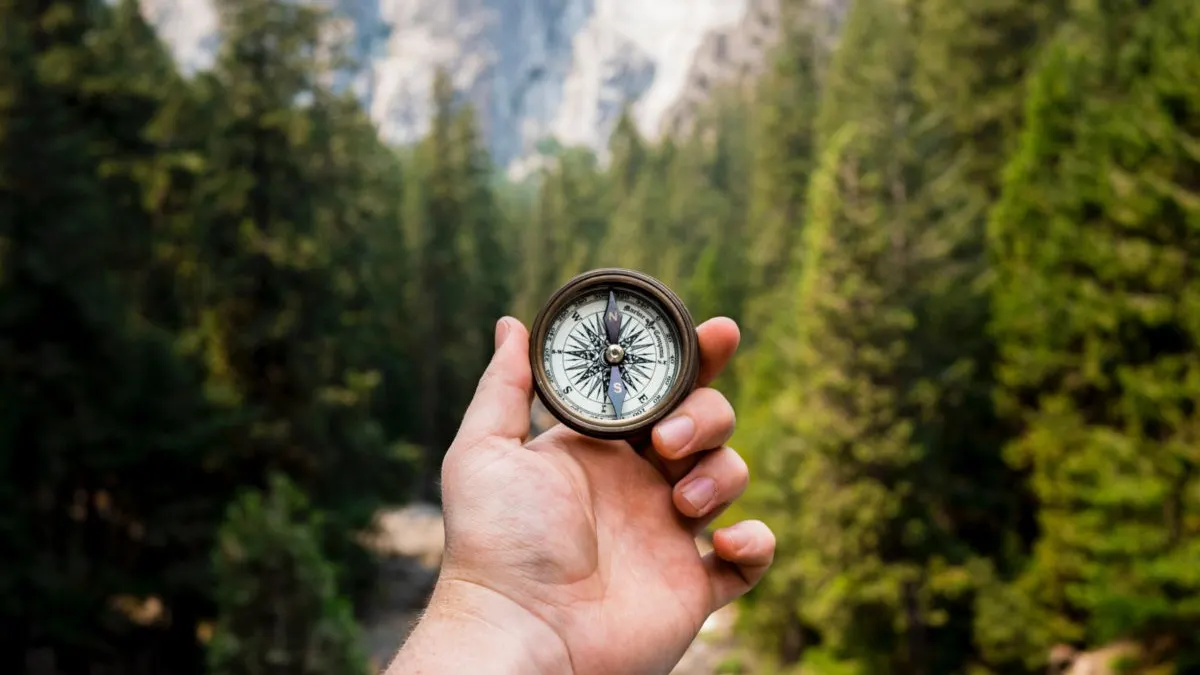 A hand holding a compass in the foreground, with a dense forest and tall evergreen trees in the background, and mountains visible in the distance under a bright sky.