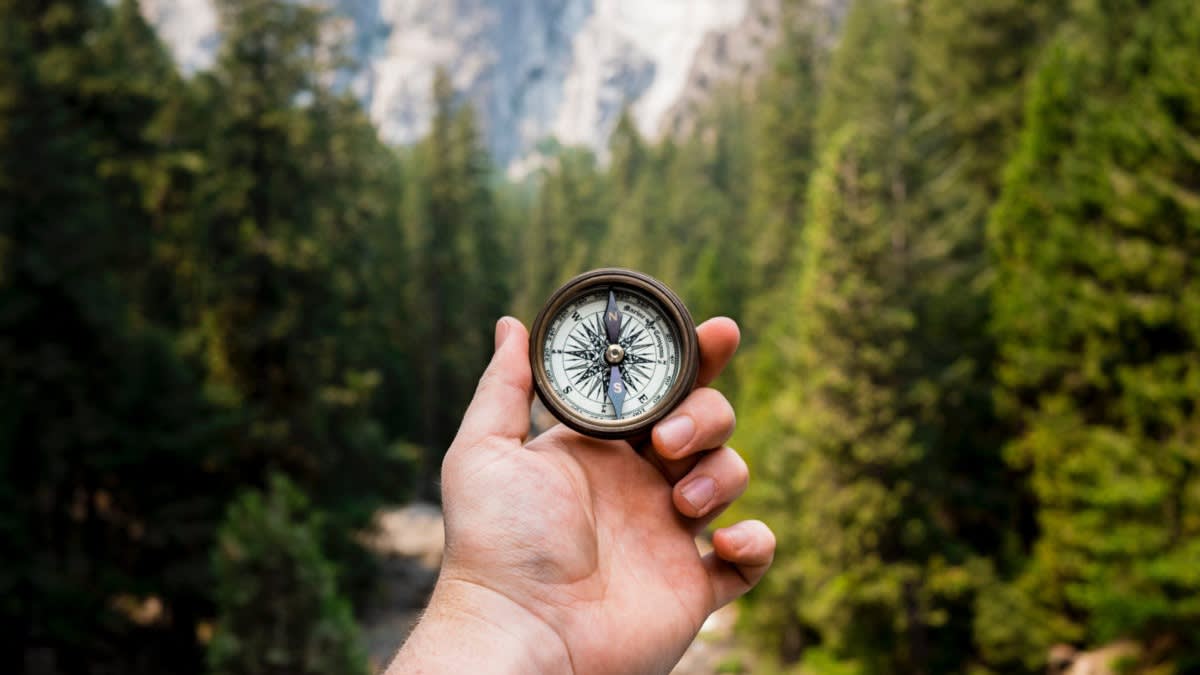 A hand holding a compass in the foreground, with a dense forest and tall evergreen trees in the background, and mountains visible in the distance under a bright sky.