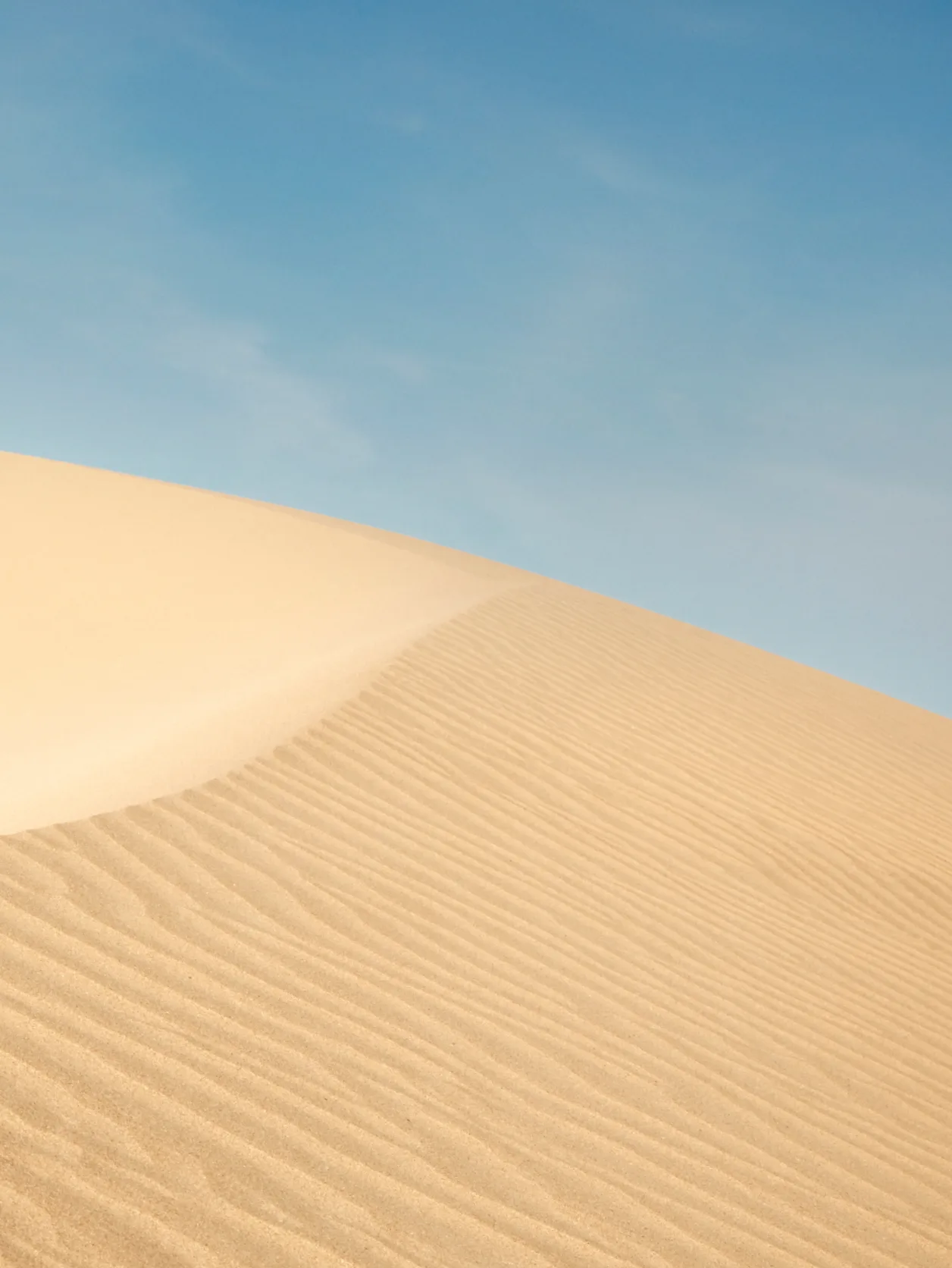 A smooth sand dune with fine ridges curves gently under a clear blue sky, creating a minimalist desert landscape.