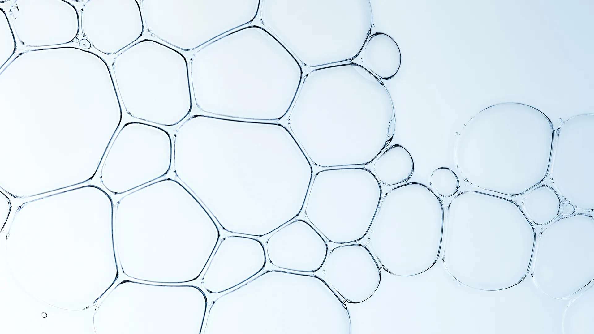 Close-up view of transparent soap bubbles forming interconnected, irregular shapes on a smooth, pale blue background. The bubbles create a delicate, geometric pattern with thin, shiny borders.