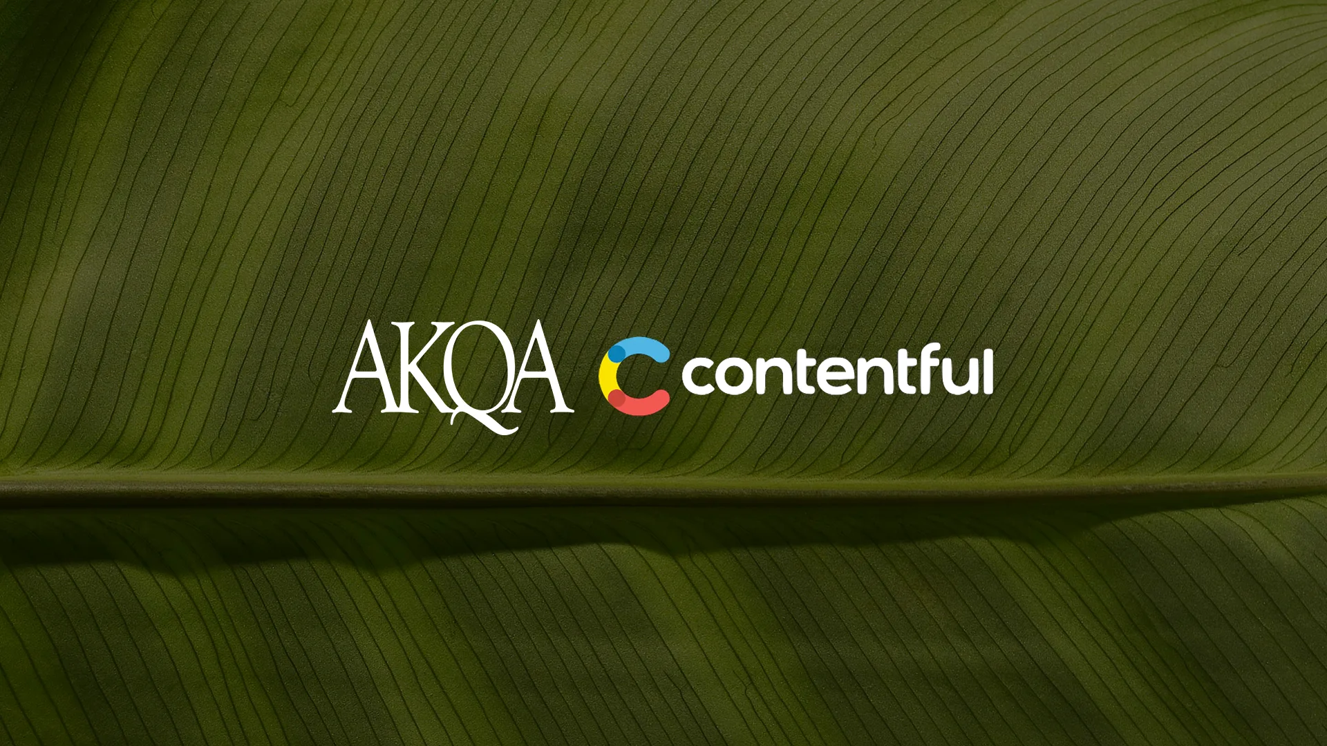 Partner of the Year Contentful hero