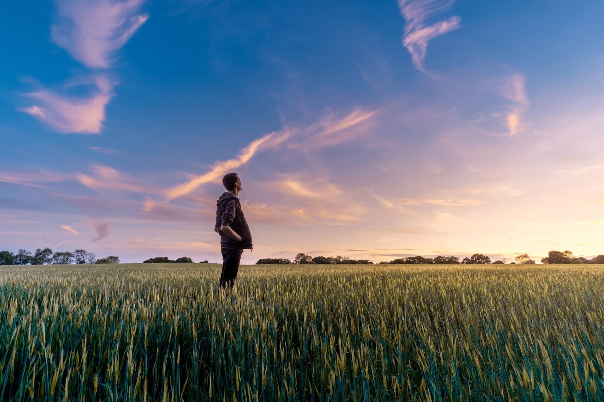 A person stands in a green field at sunset, looking at the colorful sky with pink clouds. Trees line the horizon in the distance.