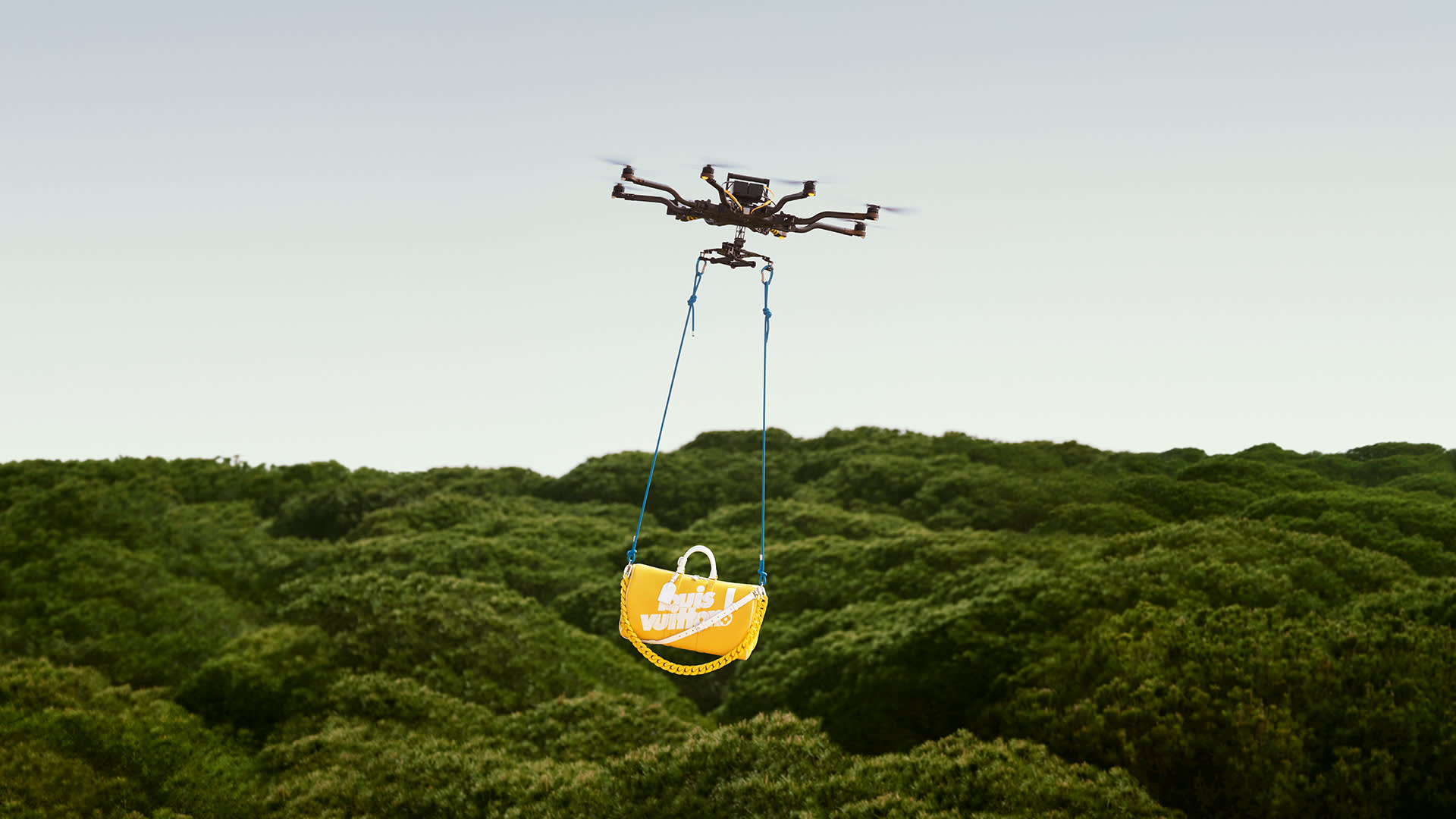 AKQA LV THEBOOK LANDSCAPE ALBATROS 01