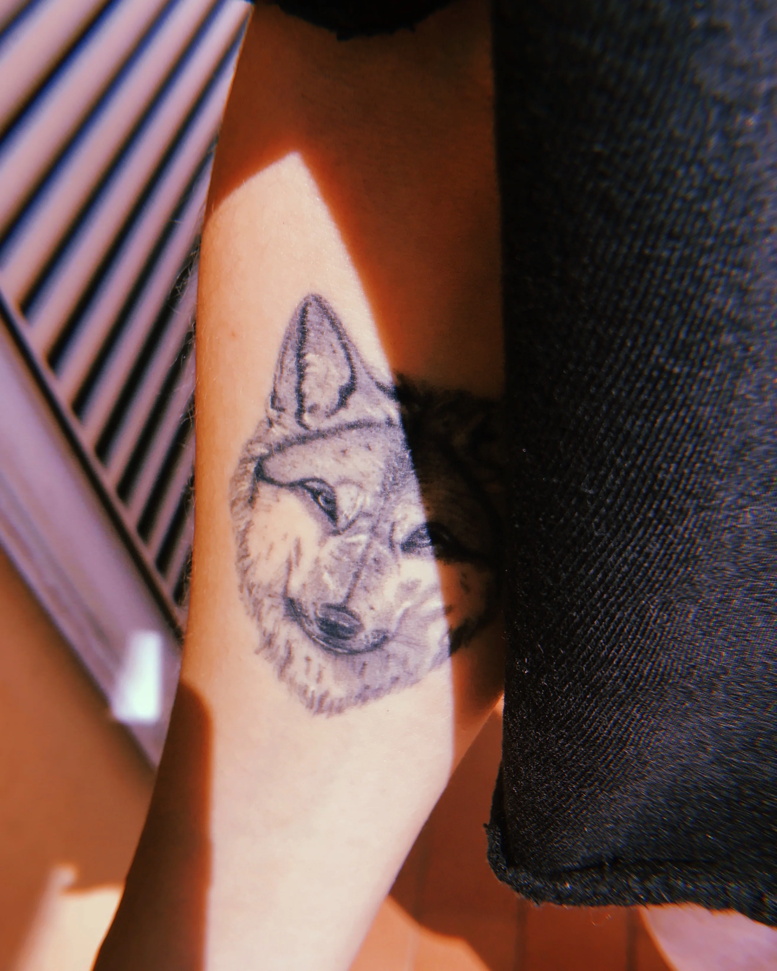 A realistic black and gray tattoo of a wolf’s head on a person’s inner arm, partially shaded by a black sleeve, with sunlight creating shadows and a striped surface in the background.