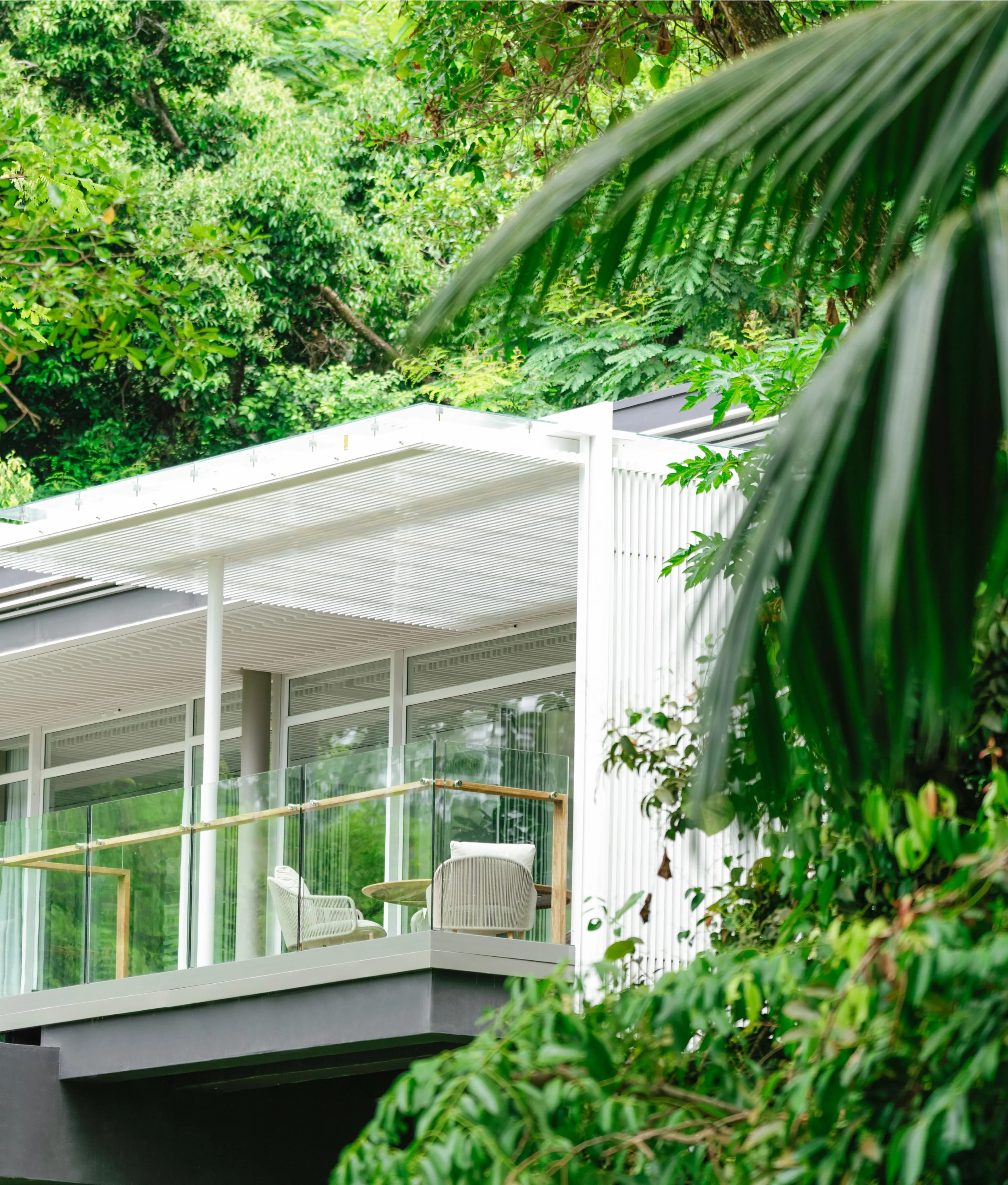 A modern white balcony with glass railings and lounge chairs is surrounded by lush green tropical plants and trees.