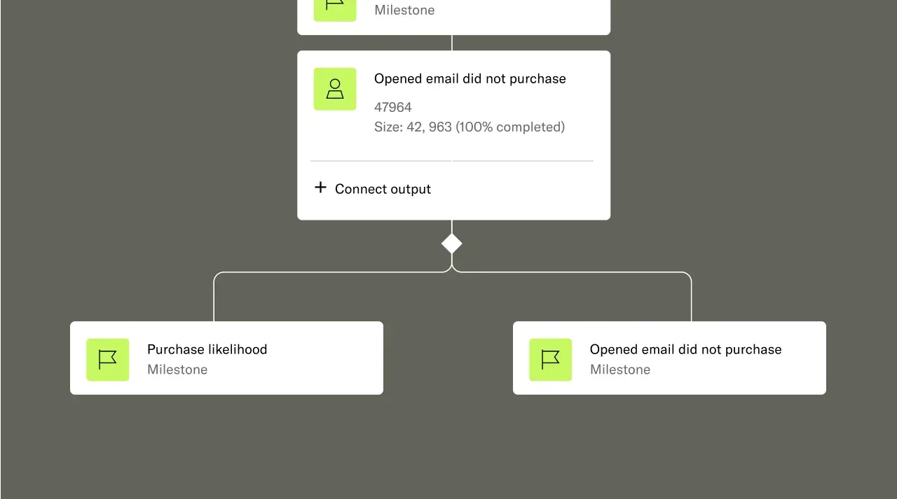 A flowchart with milestones and branches: Opened email did not purchase in the center, splitting into Purchase likelihood and Opened email did not purchase milestones. Green icons mark each milestone.