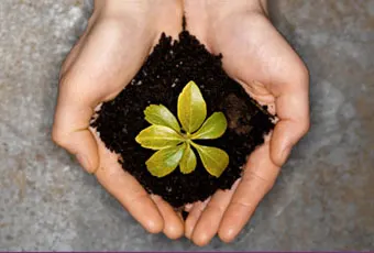 Two hands gently cup a small pile of soil with a young green plant sprouting in the center, symbolizing growth and care for nature.