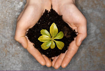 Two hands gently cup a small pile of soil with a young green plant sprouting in the center, symbolizing growth and care for nature.