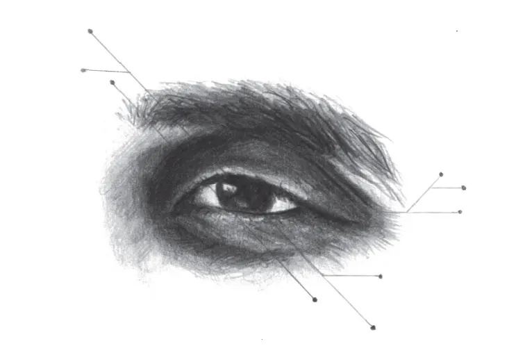 A detailed pencil sketch of a human eye with an eyebrow above it. Four lines with dots at the end point to different parts around the eye, suggesting labels or annotations.