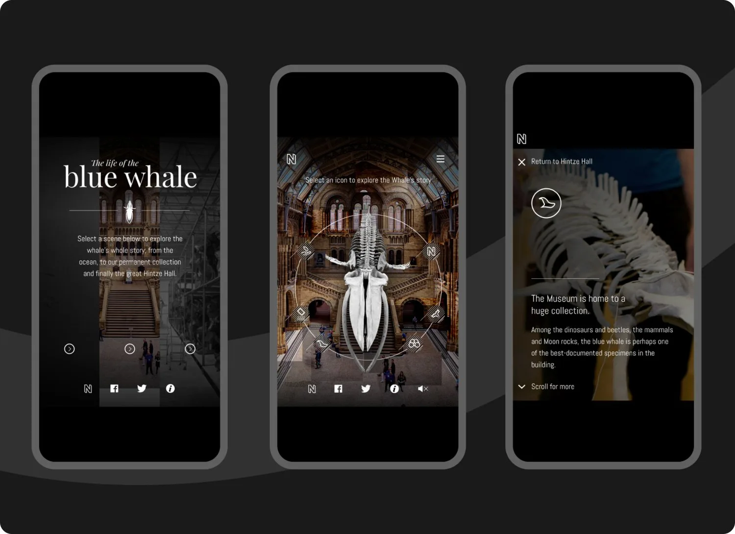 Three smartphone screens display a virtual museum tour featuring a blue whale skeleton. The interfaces show navigation options, information about the whale, and detailed images inside a grand hall.