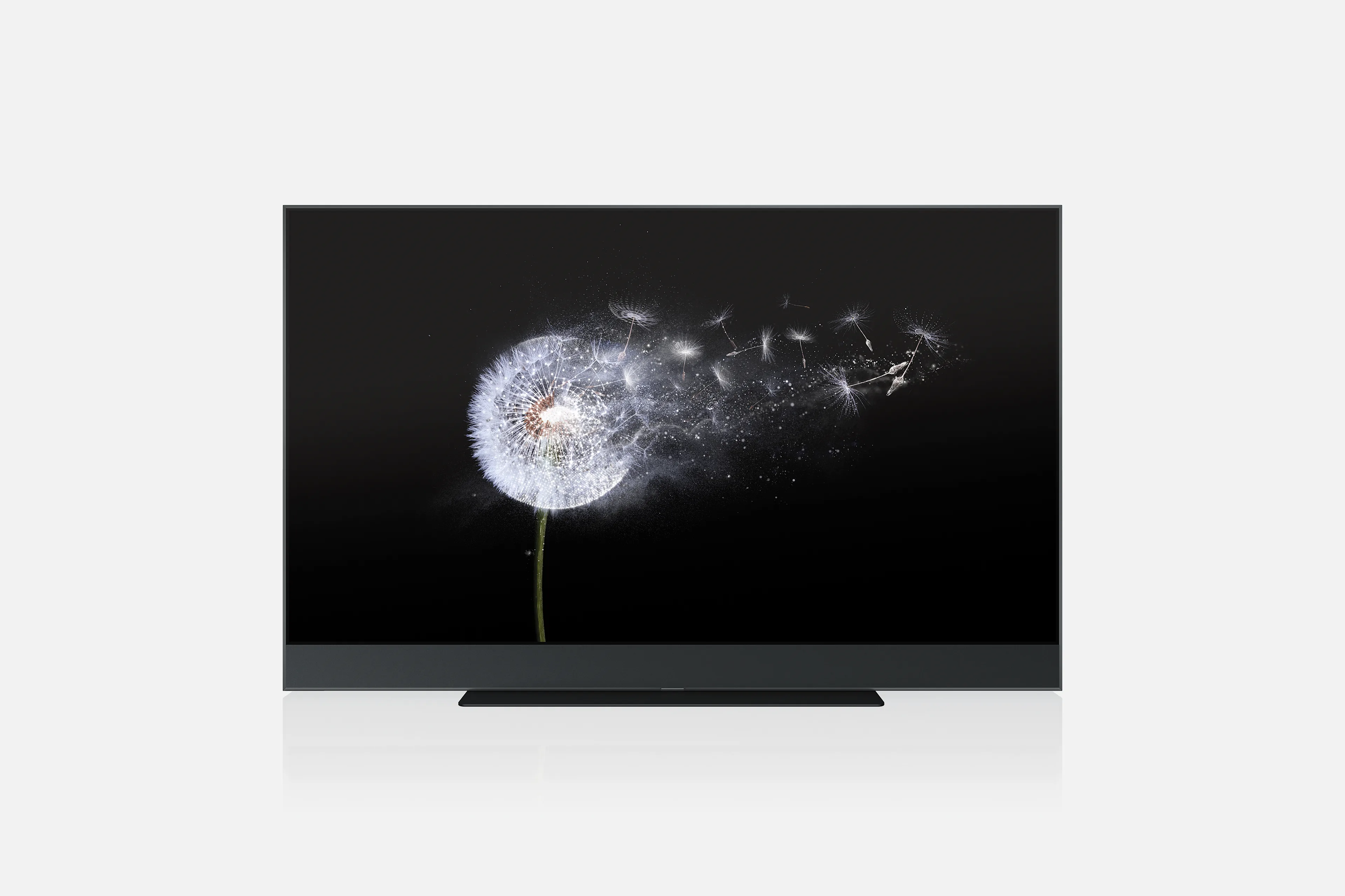 A flat-screen television displays a close-up image of a dandelion with seeds blowing away on a black background. The TV is set against a plain white backdrop.