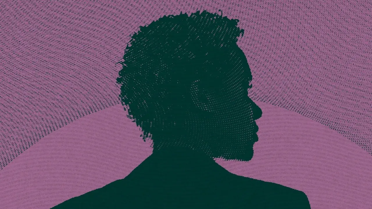 Pink Chip-article