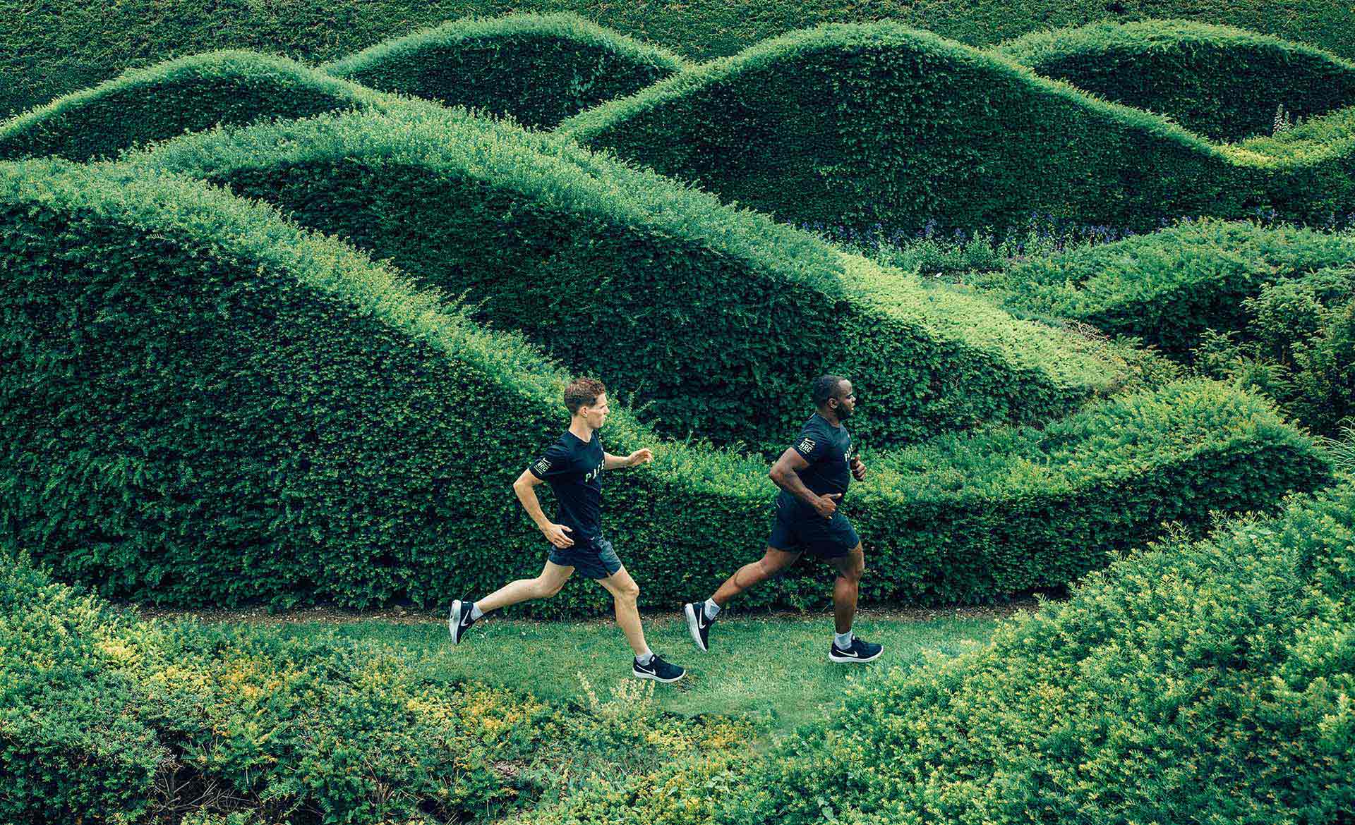 Two men in athletic wear run along a path surrounded by tall, lush, wavy green hedges that form a maze-like garden.