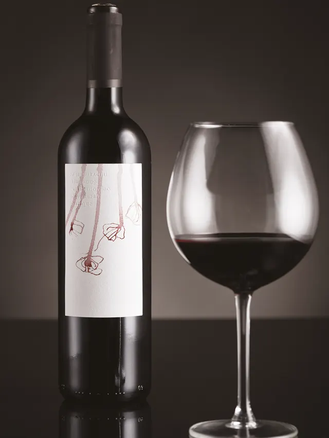 A dark wine bottle with an abstract label stands next to a large glass half-filled with red wine, both placed on a glossy black surface against a dark background.