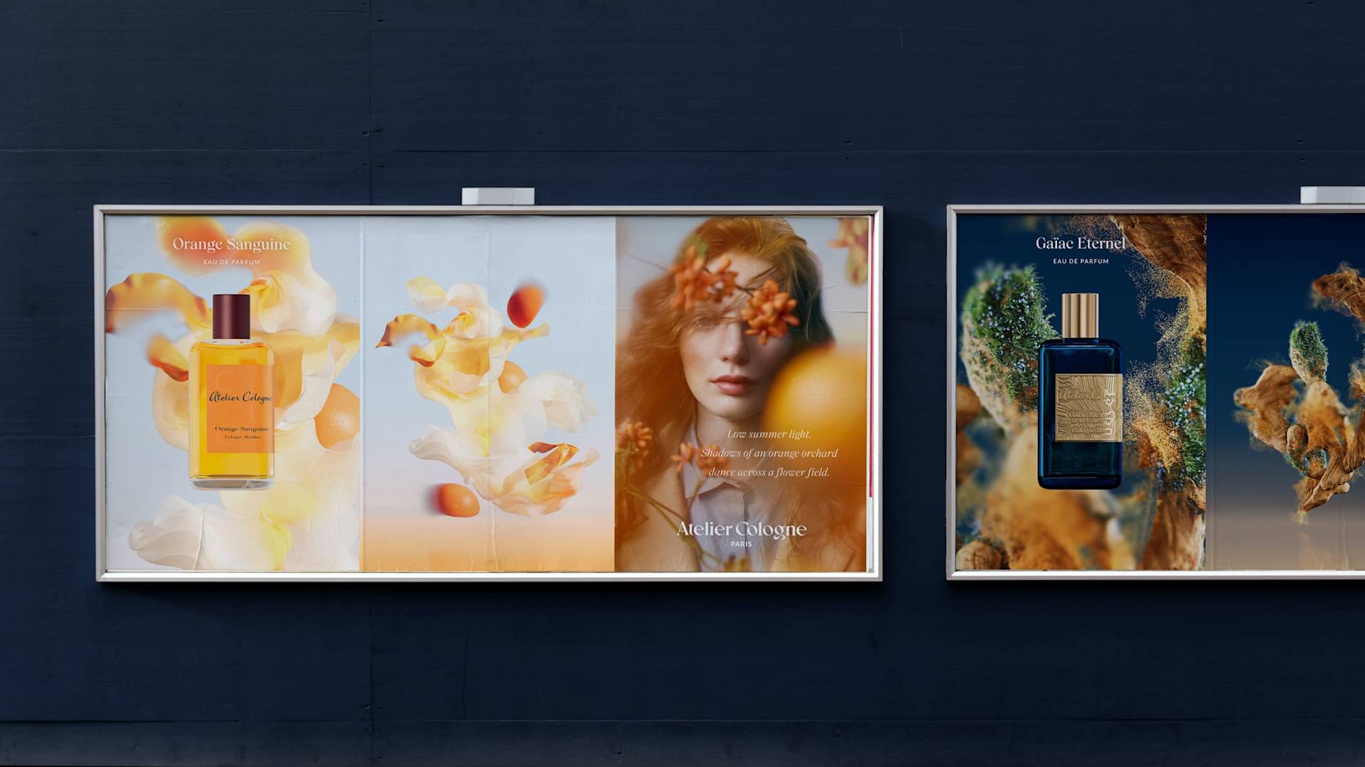 Two perfume advertisements on a dark wall. The left ad features an orange perfume bottle, floating petals, and a womans face; the right ad shows a blue bottle with natural elements like moss and rocks.