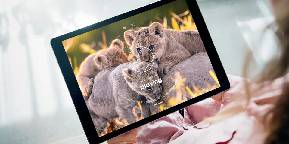A person holds a tablet displaying a video of three lion cubs playfully climbing on each other in the grass, with the word “playing” and a play icon visible on the screen.