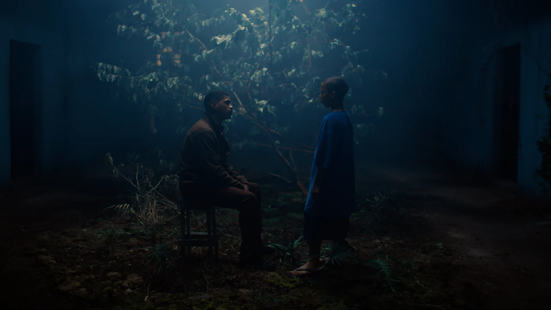 Two people face each other in a dimly lit, misty room with a large leafy plant at the center. One person sits on a stool while the other stands barefoot, both surrounded by plants and shadows.