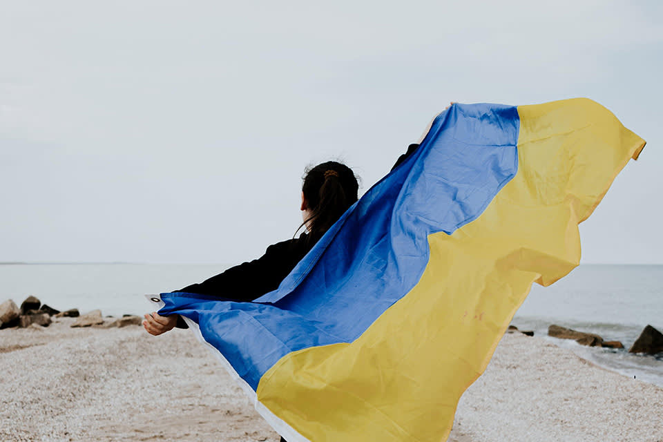 Person standing on a beach, holding and waving a large blue and yellow flag behind them, facing the sea with their back to the camera. The sky is overcast and some rocks are visible on the shore.
