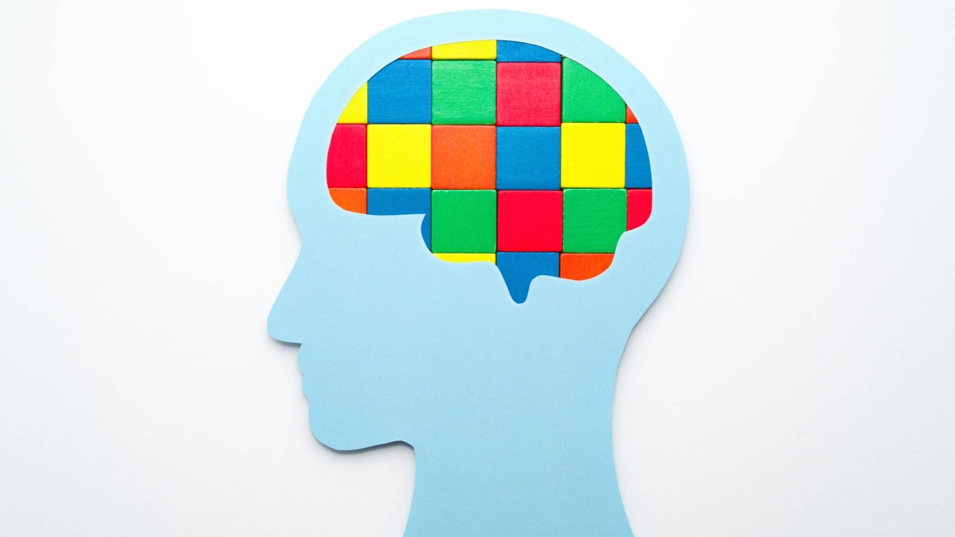 A blue silhouette of a human head with a brain shape filled with colorful interlocking wooden blocks, resembling a puzzle, on a white background.