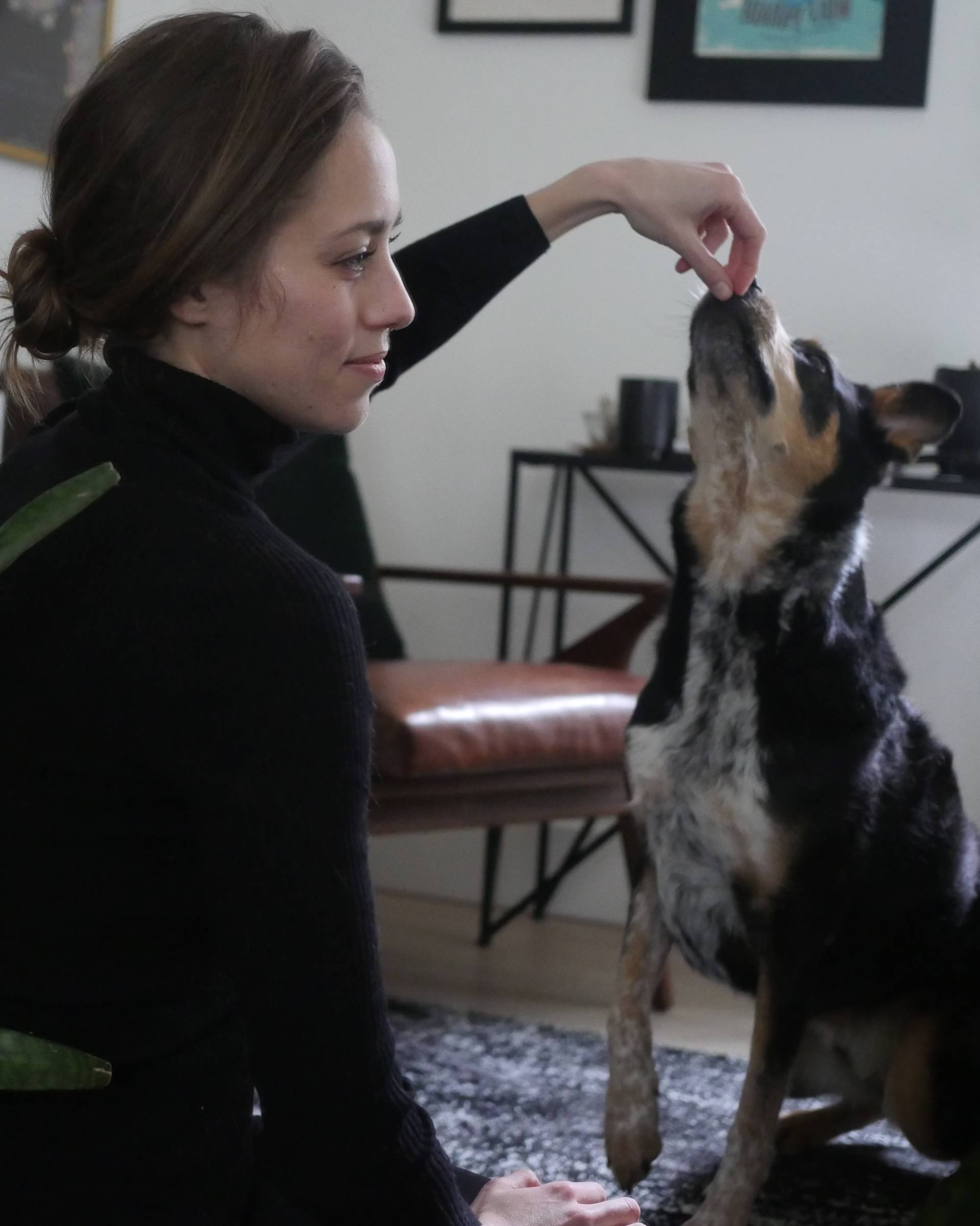 A woman in a black turtleneck sits indoors, smiling and holding a treat above the nose of a black and white dog who is sitting upright and reaching for it.