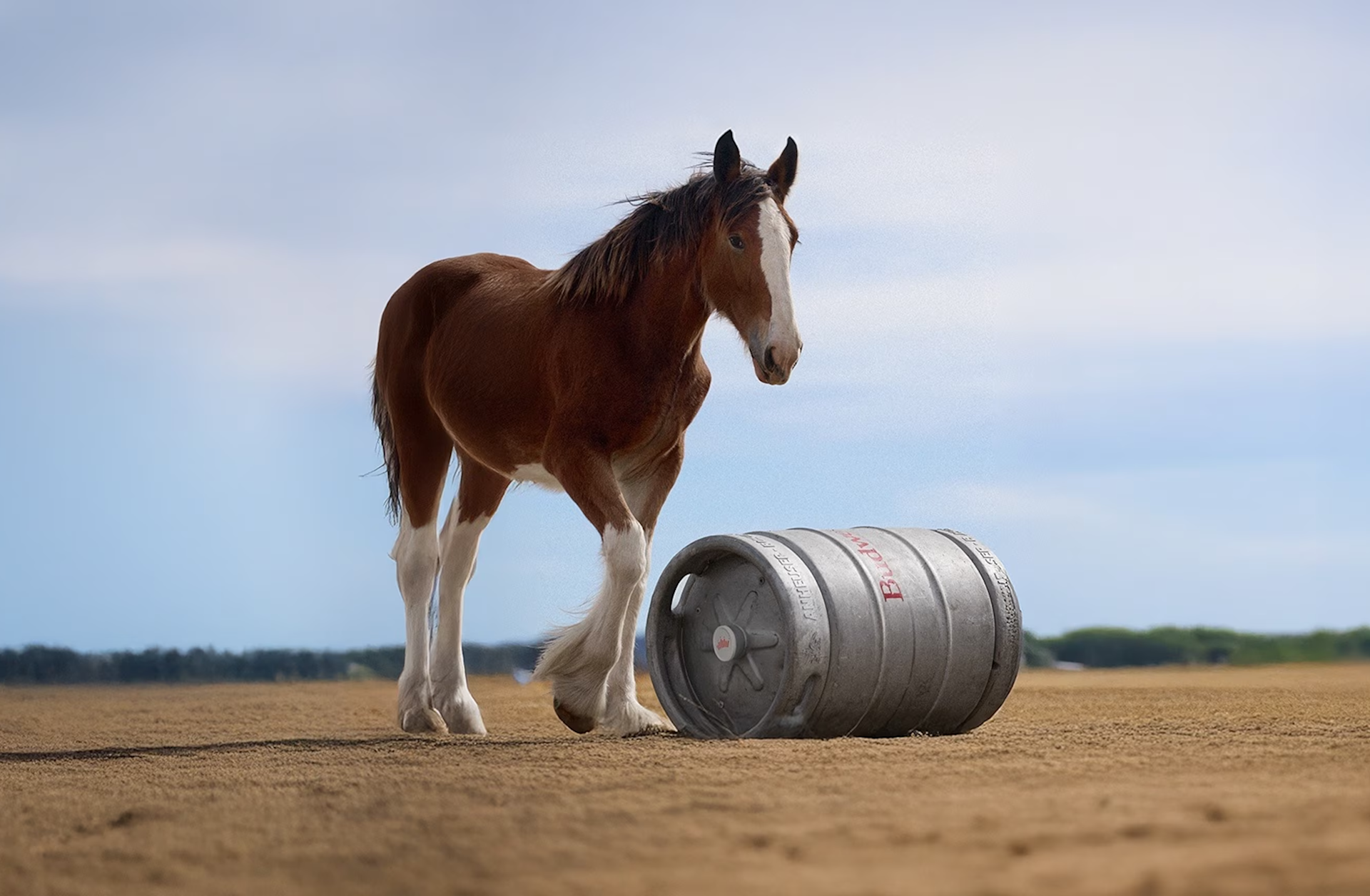 A brown horse with white legs and a white face walks on sandy ground next to a large metal beer keg lying on its side, with a clear sky and distant treeline in the background.