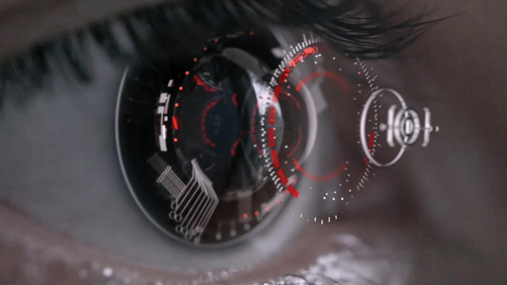 Netflix Vista Gallery 1
