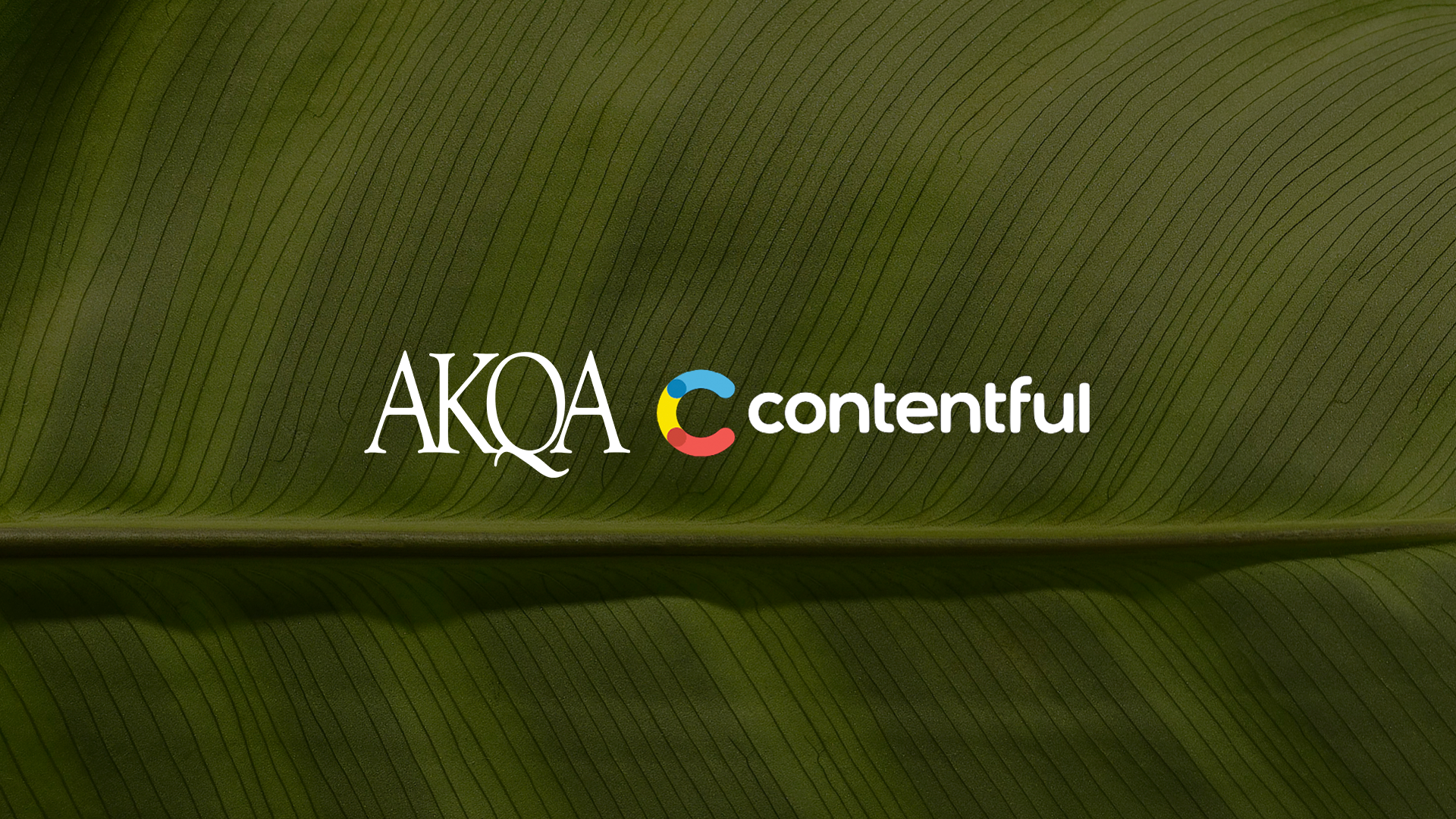 The AKQA and Contentful logos are centered on a green leaf with visible veins, symbolizing a collaboration between the two companies.