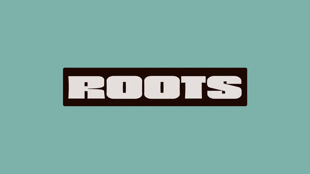 The word ROOTS in bold, uppercase, white letters inside a dark brown rectangle, centered on a solid teal background.