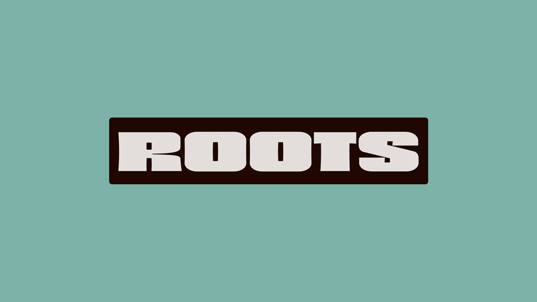 The word ROOTS in bold, uppercase, white letters inside a dark brown rectangle, centered on a solid teal background.