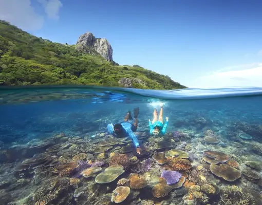 snorkelaar-boven-kleurrijk-koraalrif &middot; fiji-samoa-en-vanuatu