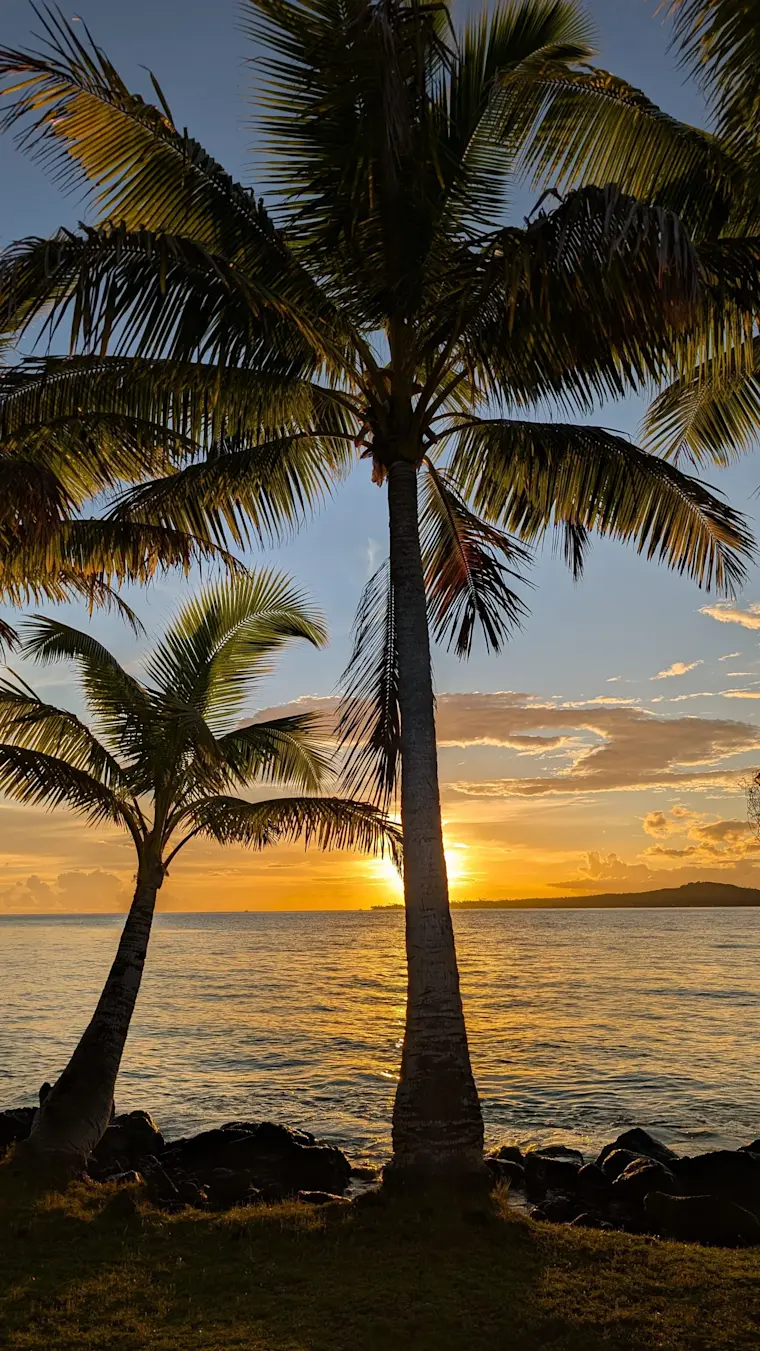 Een idyllisch tropisch strandtafereel met slanke palmbomen tegen een spectaculaire goudgele zonsondergang boven de oceaan, perfect voor een ontspannende strandvakantie.