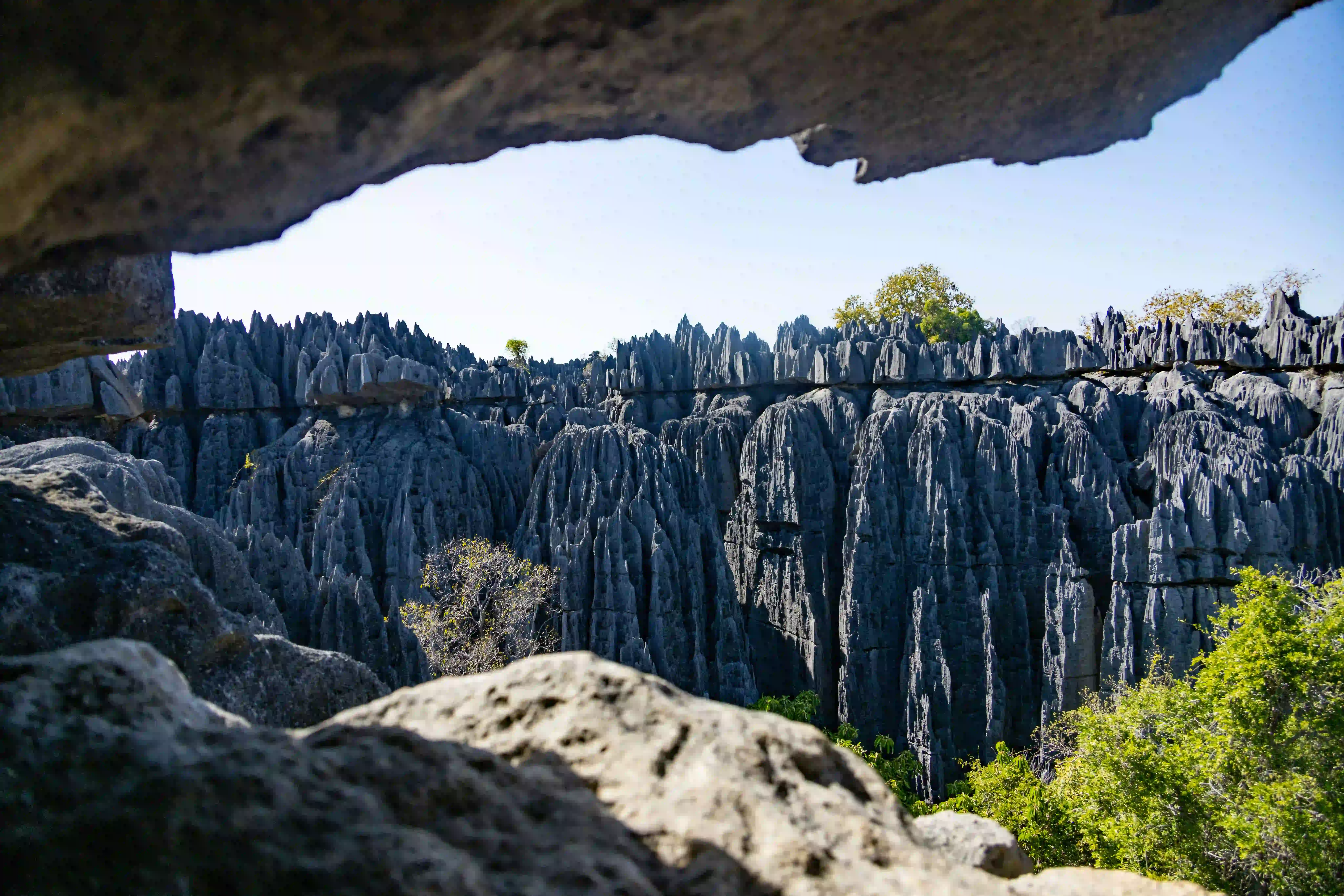 De kalkstenen pilaren in Nationaal Park Tsingy de Bemaraha in Madagaskar.